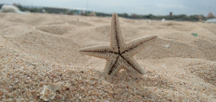 beach gives peace
