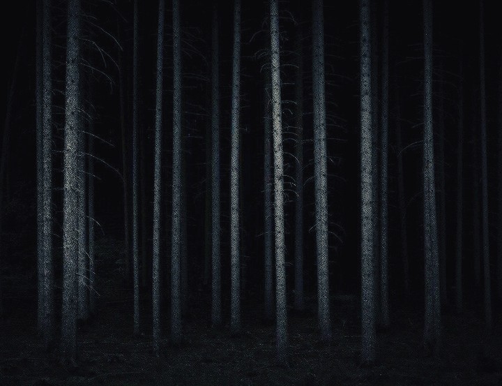 Natureismylove