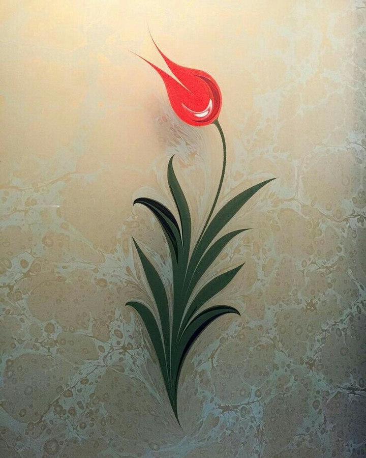 Tulip on the water tank