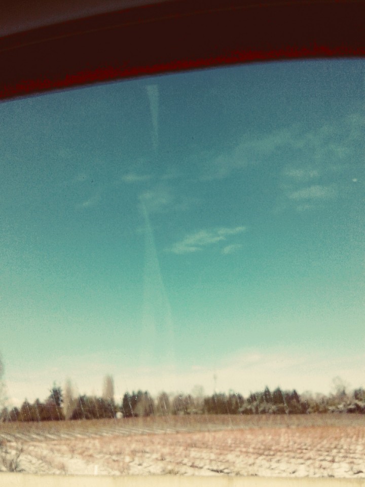 The view