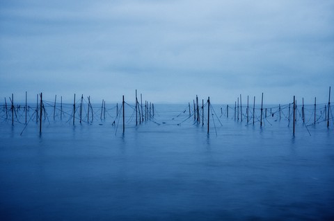 The Blue Hour