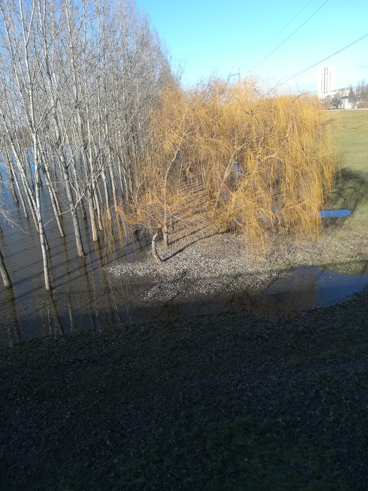 Tél a tavaszban