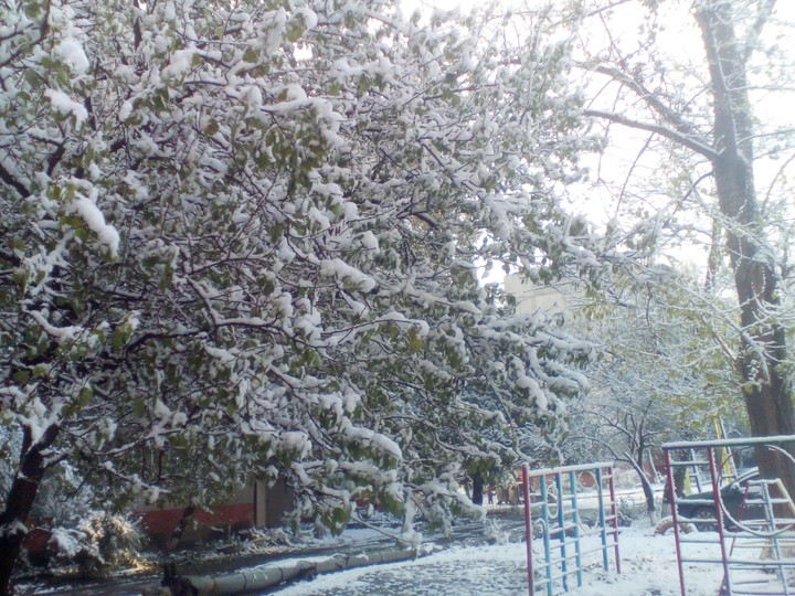 Дворик:3