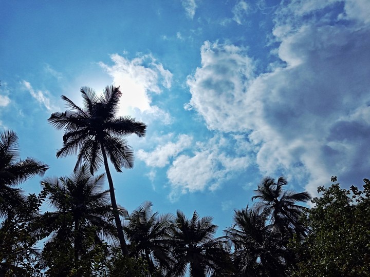 blue sky