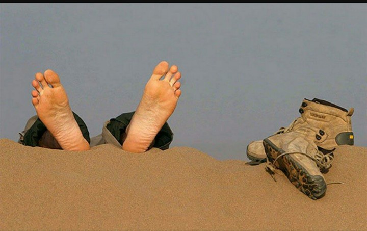 The desert