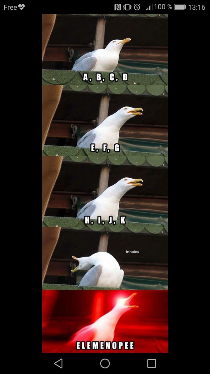 Boi