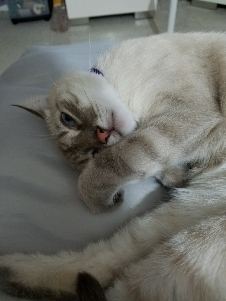 Nina