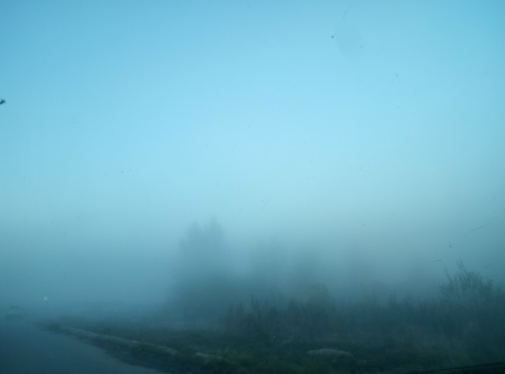 Fog