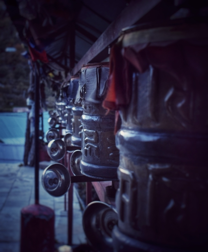 WHEEL OF BUDDHA