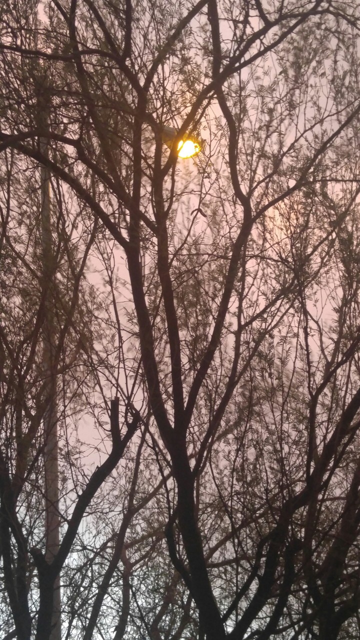 stormy arizona weather