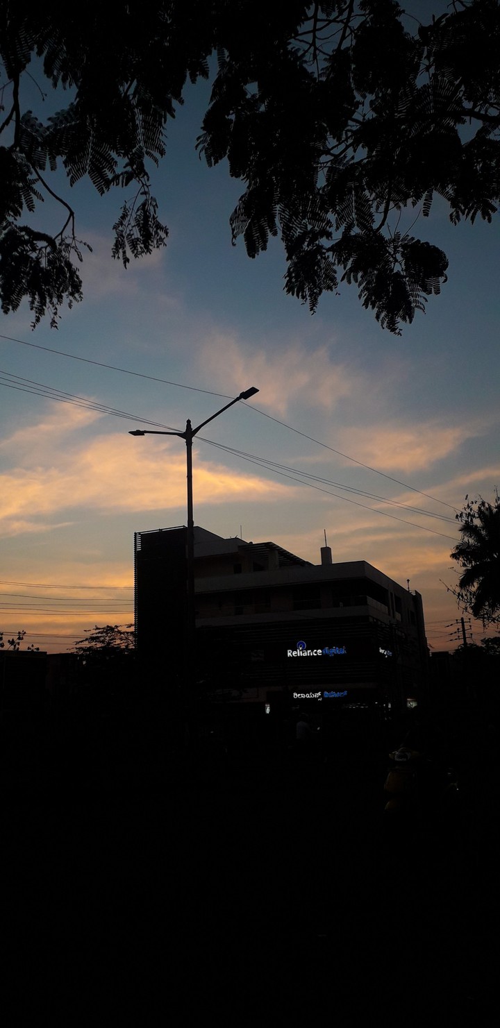 Evening vibes