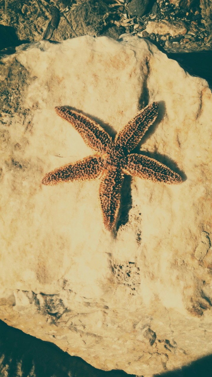 :)
