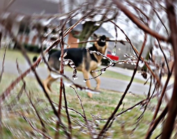 Get your stick!