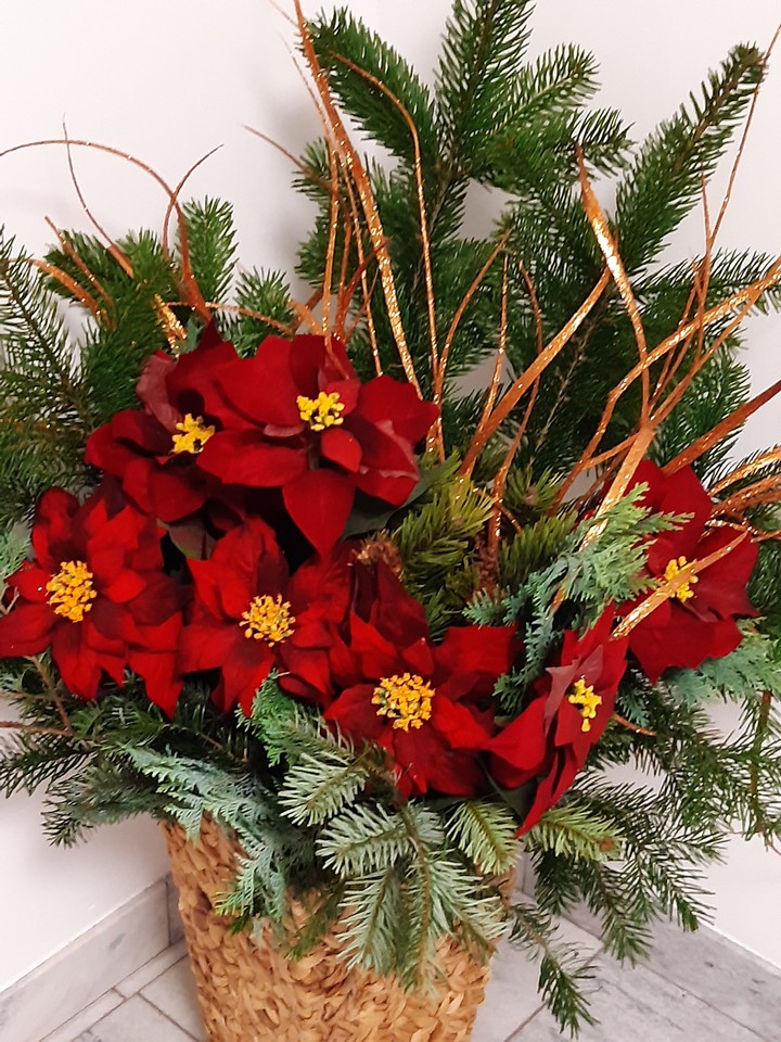 Christmas Star
