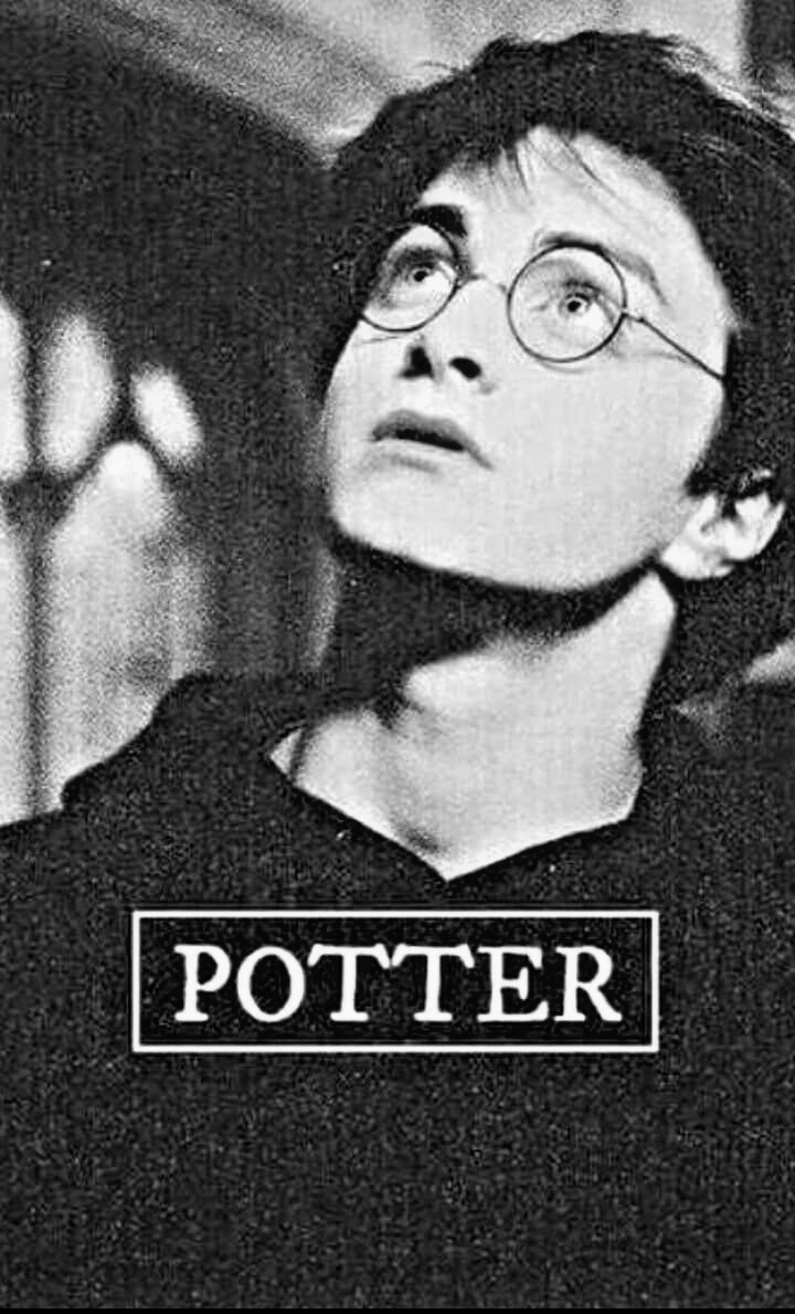 Potter 