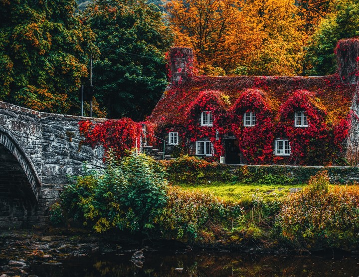 wonder house