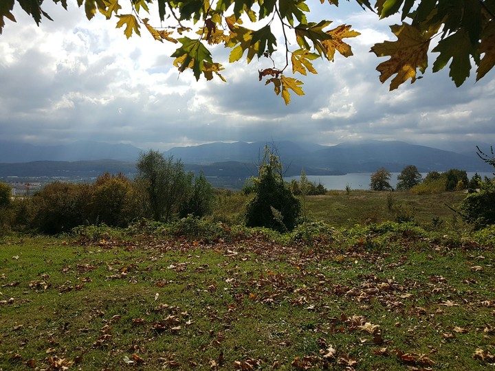 doğa