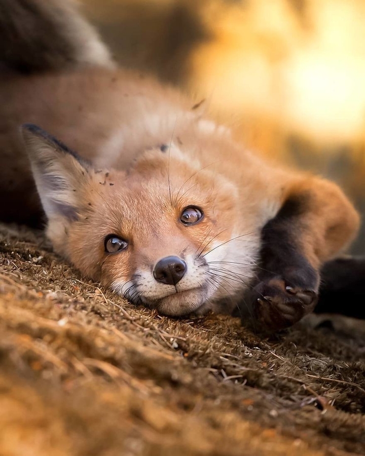Cute