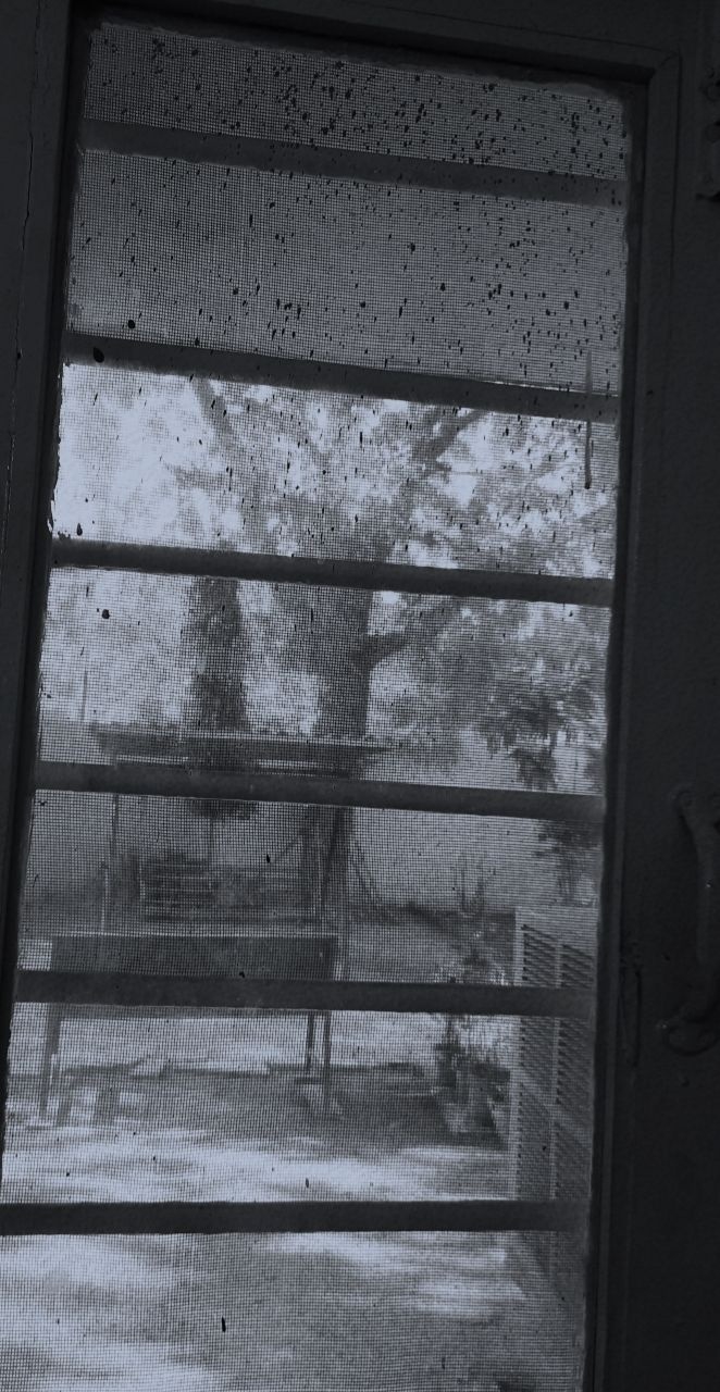 window