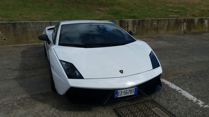 Galliardo