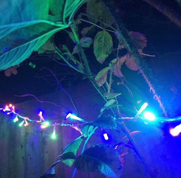 lights