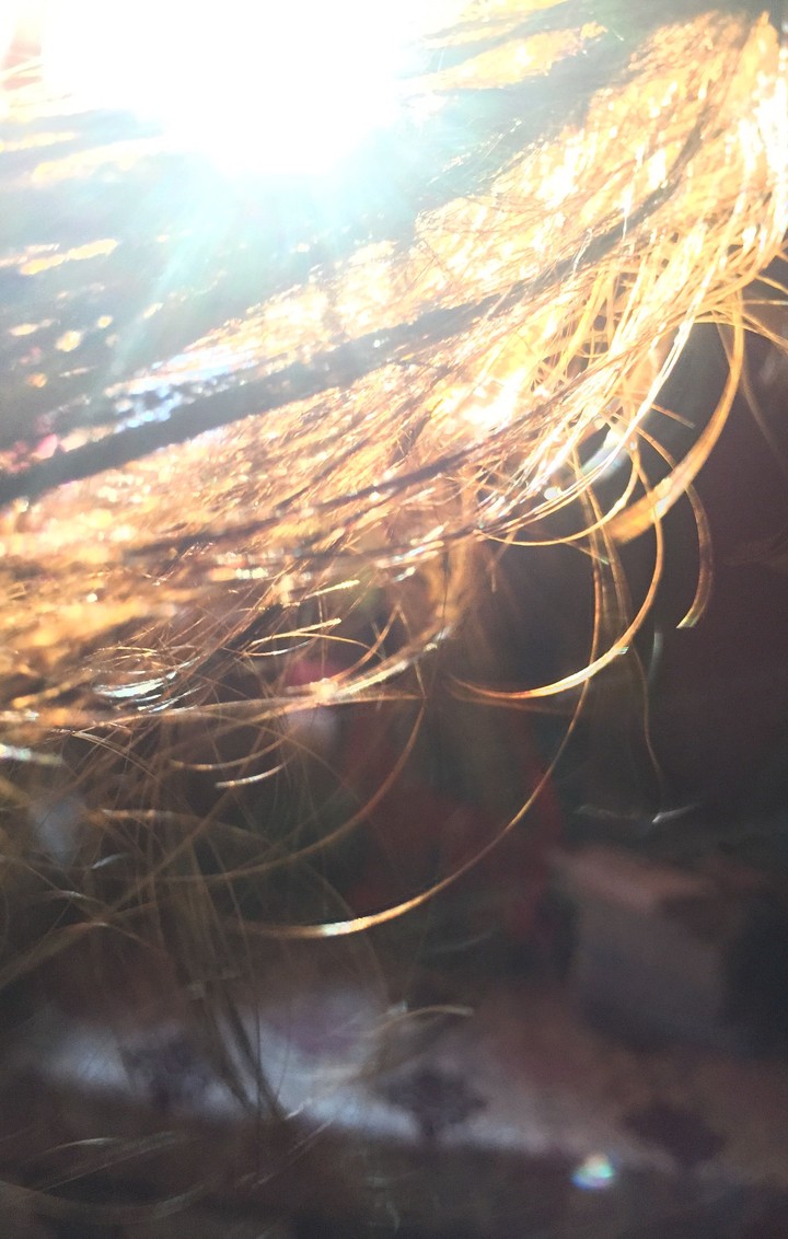sun kissed