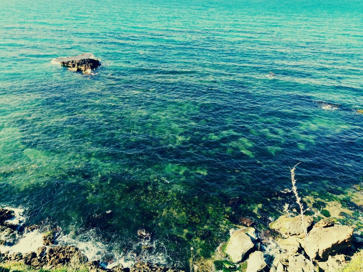 sea?