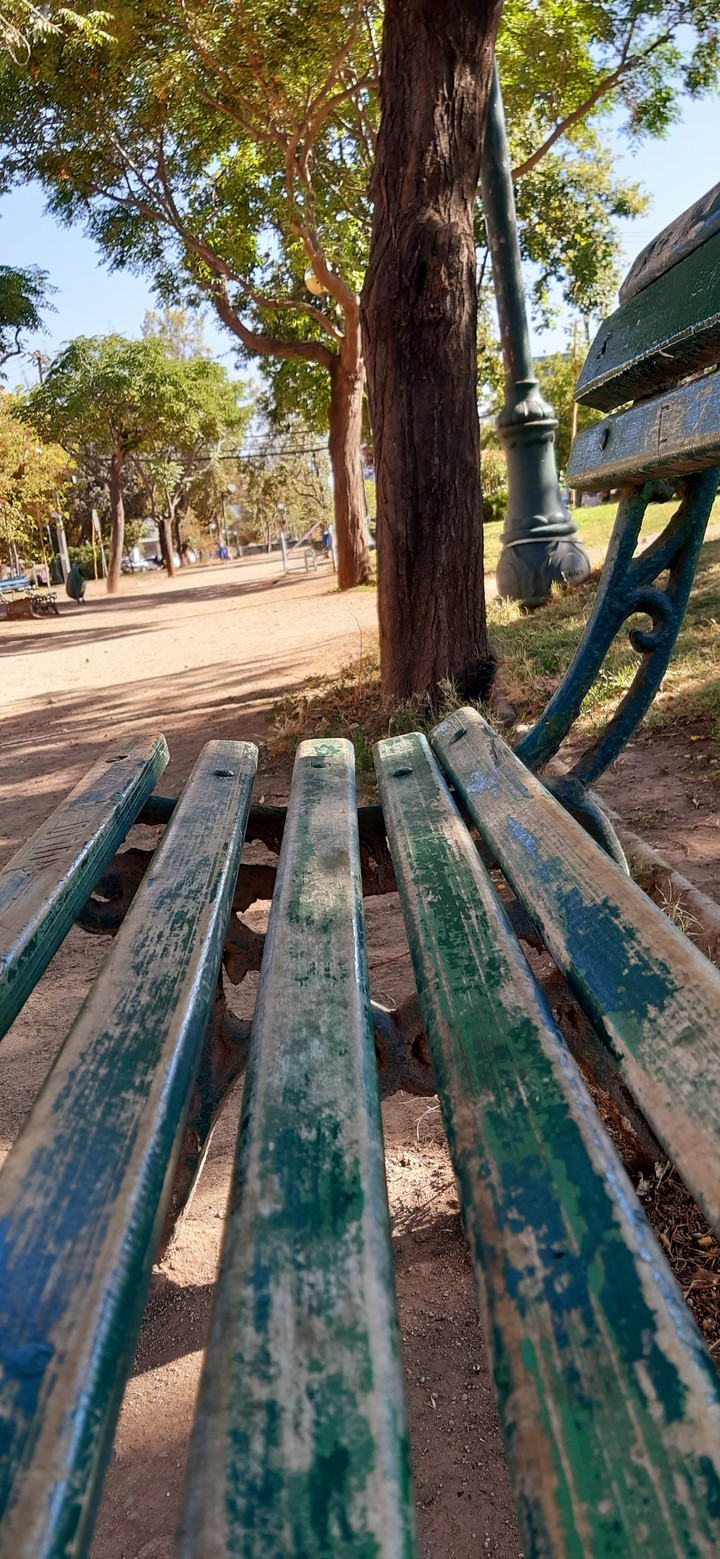 Bench