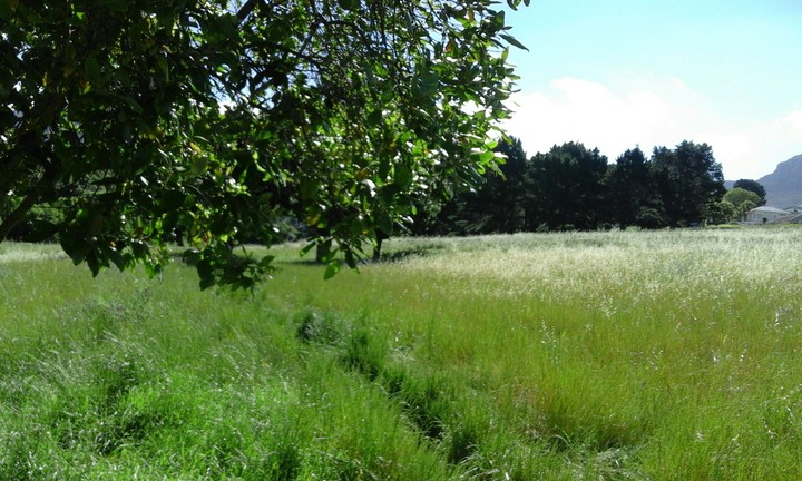 Picnc Area