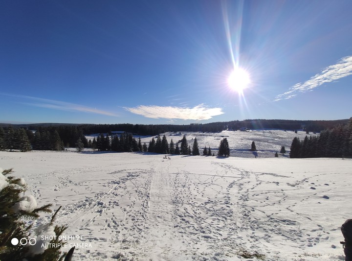 Sumava National Park