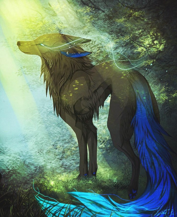 fox
