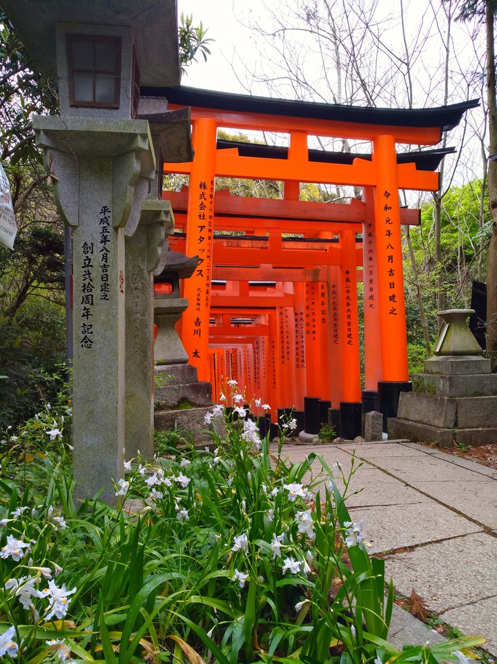 fushimi inari shrine