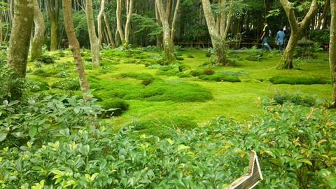祇王寺