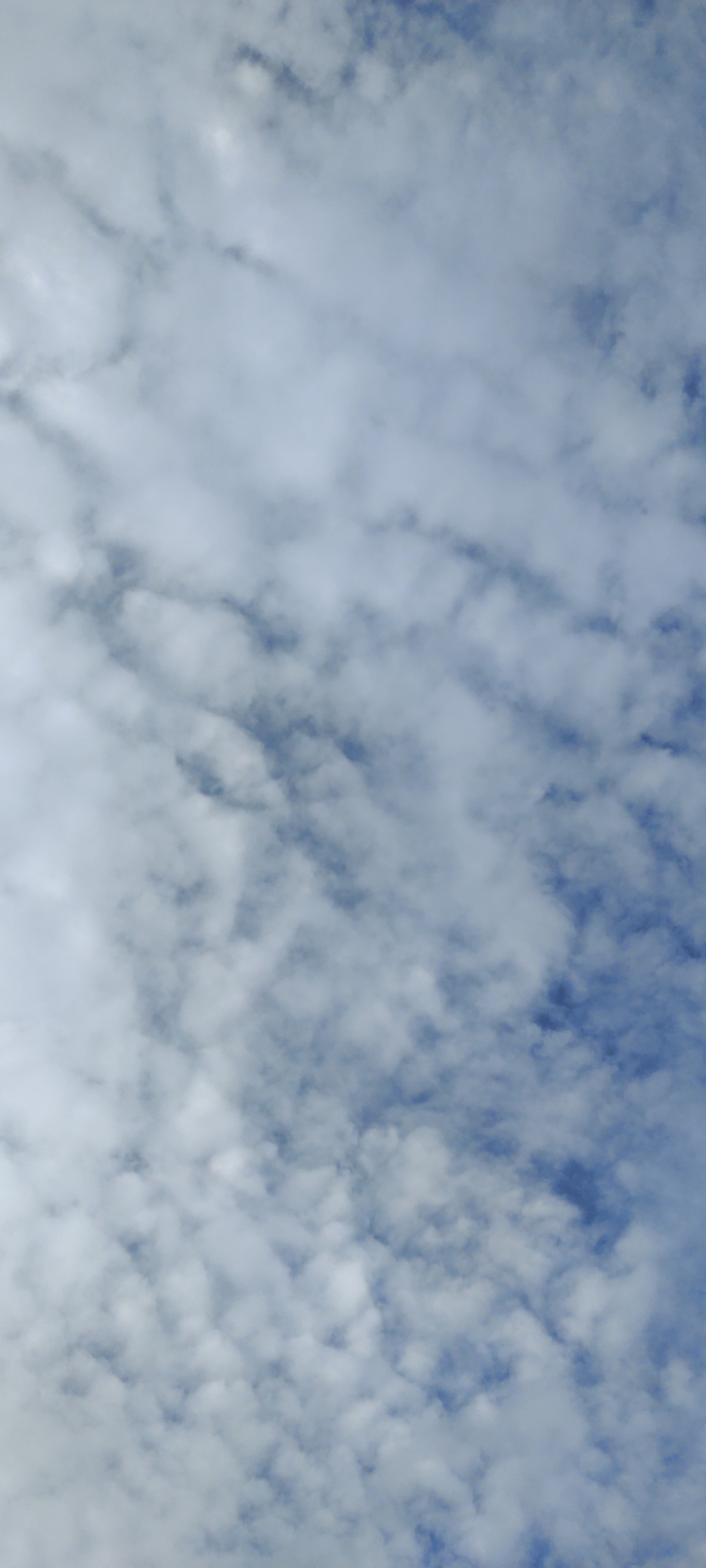 blue skies
