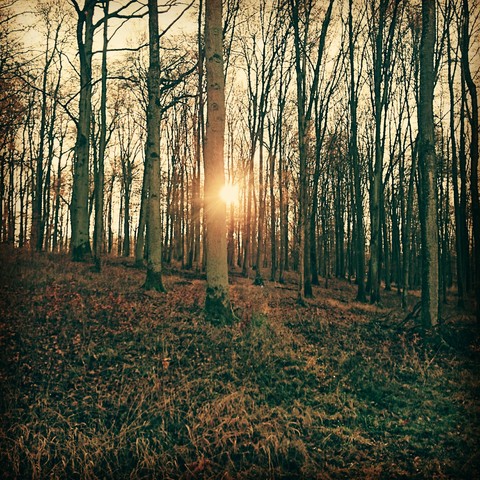 Ruhe und Kraft