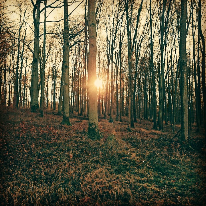 Ruhe und Kraft