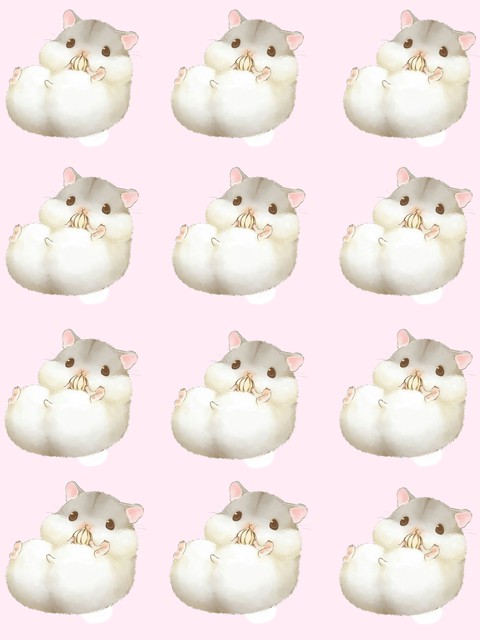 hamster