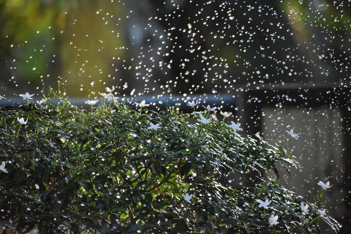 splash