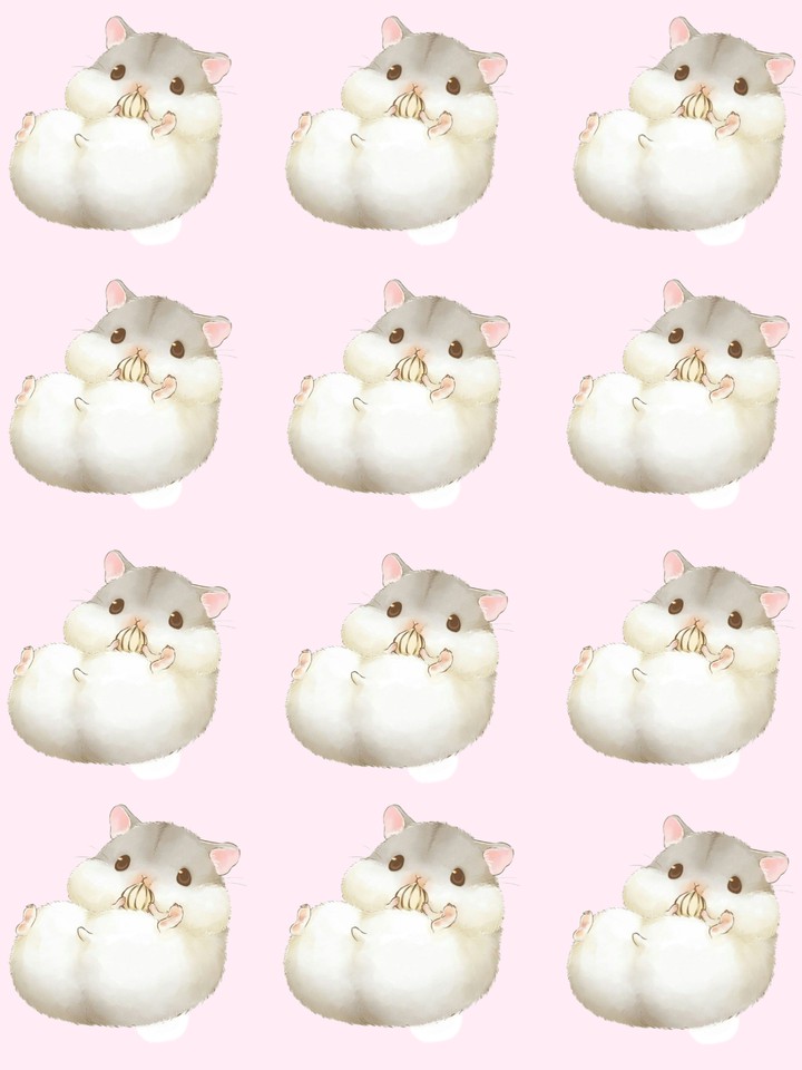 hamster