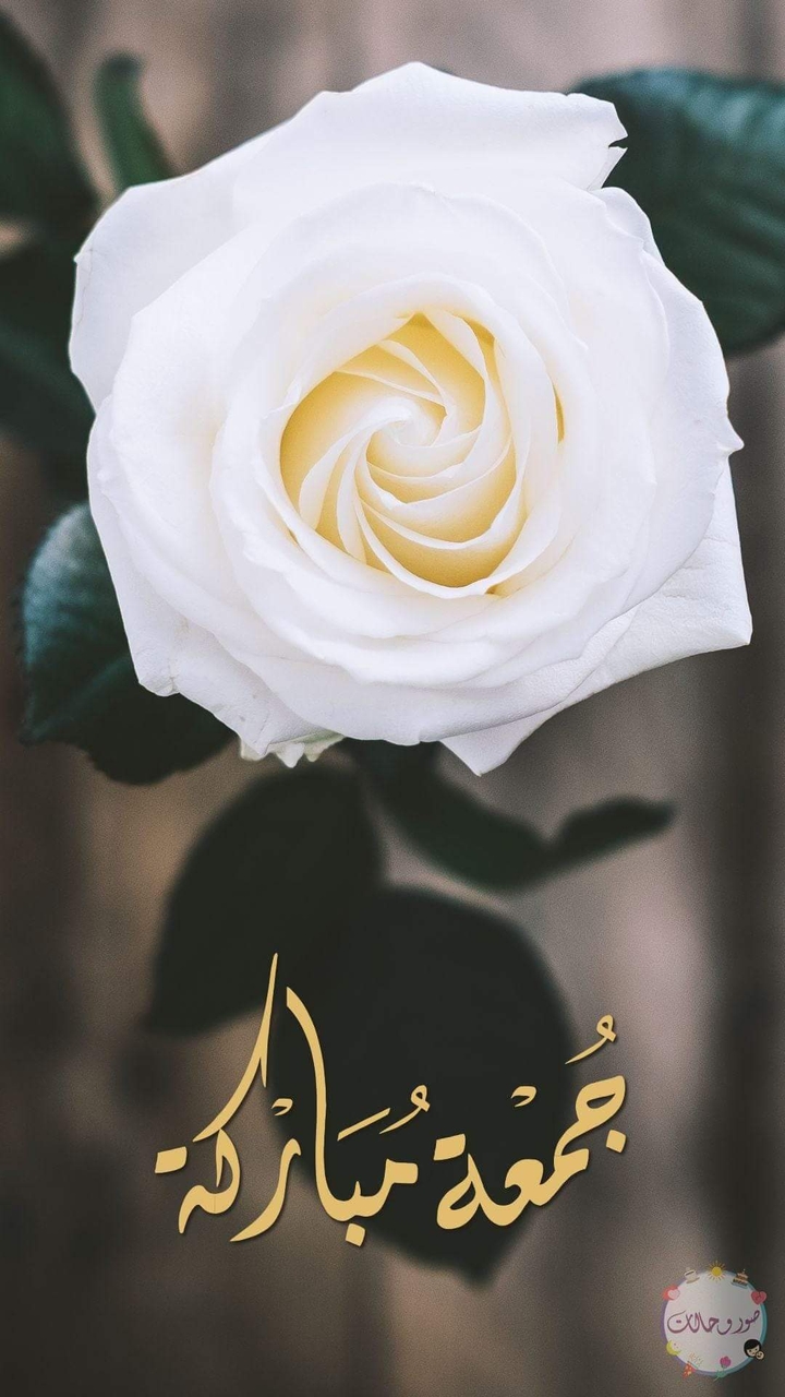 جمعة مباركة