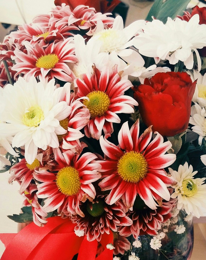 flowers