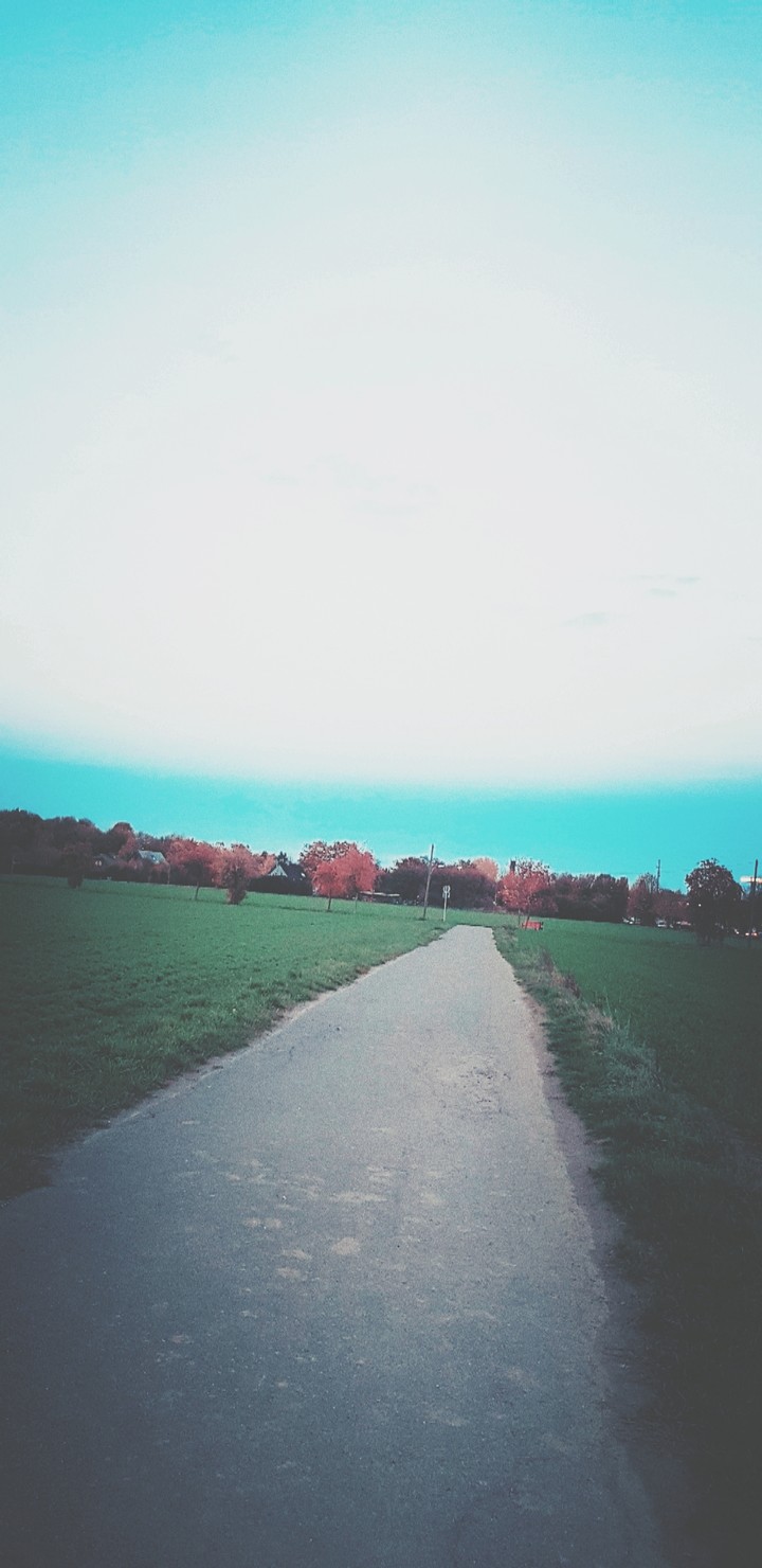 the way