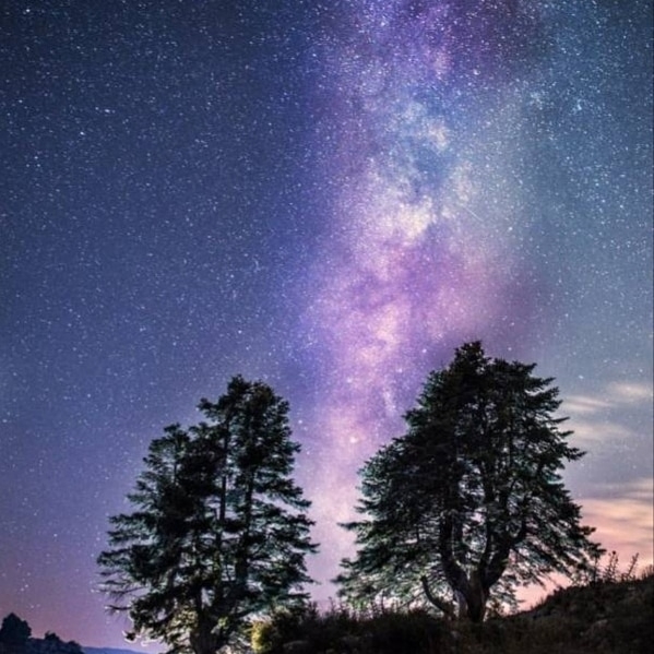 the arm of galaxy