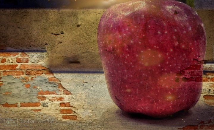 for all Apple lovers