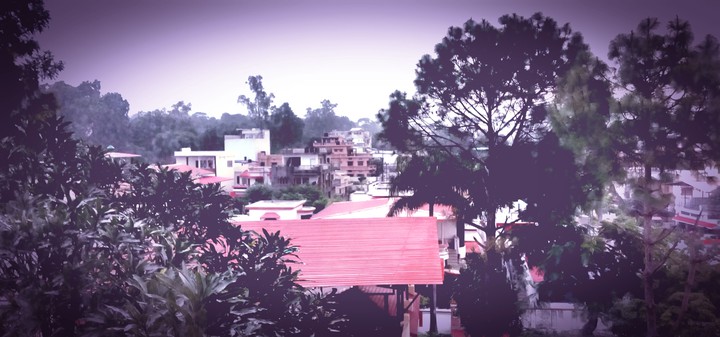 the best place