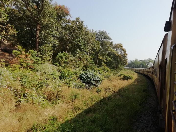 A journey through the Western Ghats...