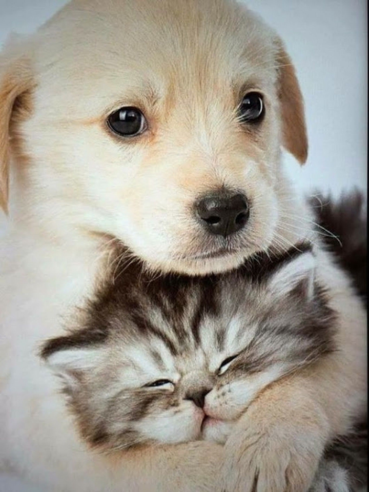 aww
