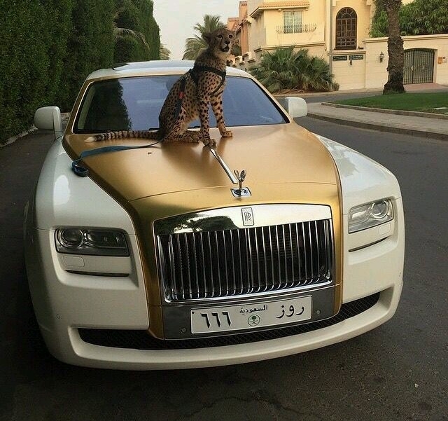 poder é querer viver com muito luxo