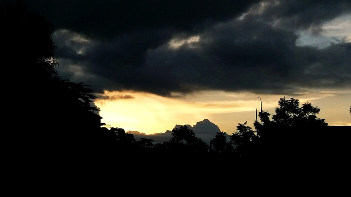 Golden Evening