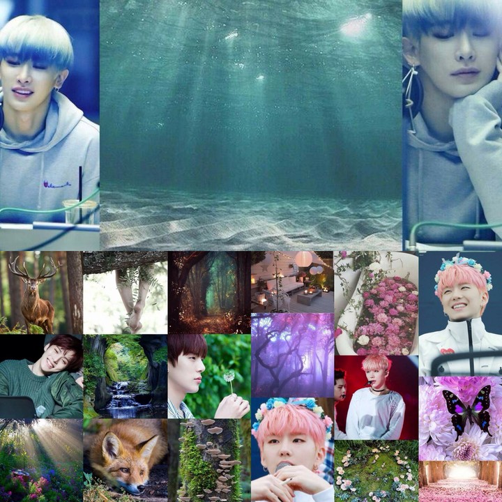MonstaX Collage
